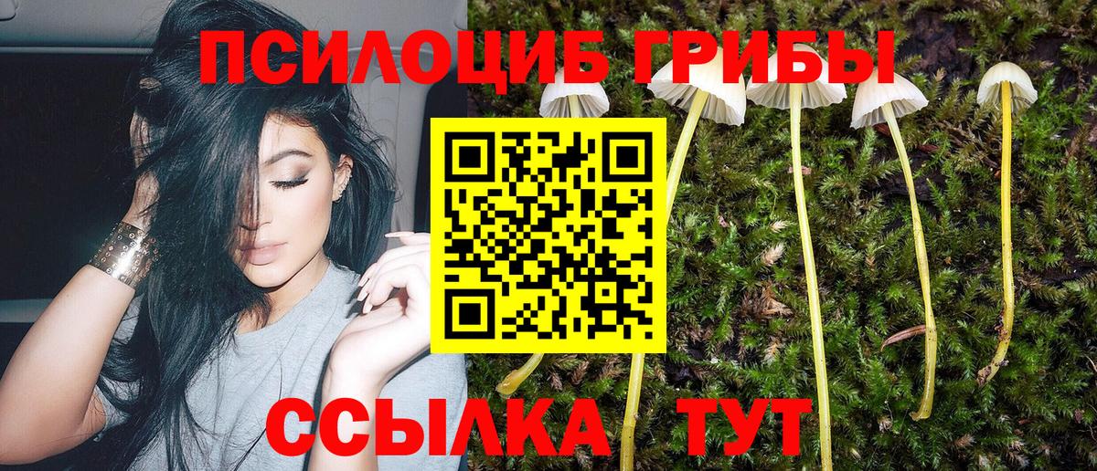 Галлюциногенные грибы Cubensis  Галлюциногенные грибы GOLDEN TEACHER  что такое   Вход с VPN  Зерноград 
